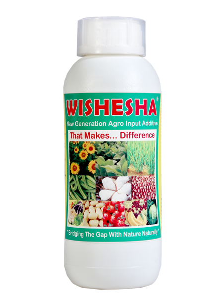 WISHESHA-500ML BTL